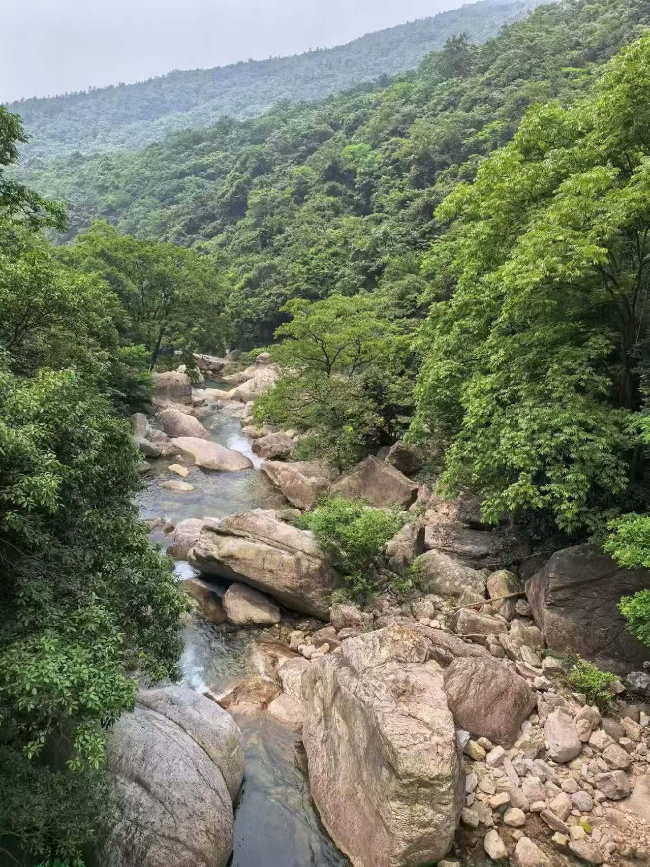 庐山一日游VIP小团 图2