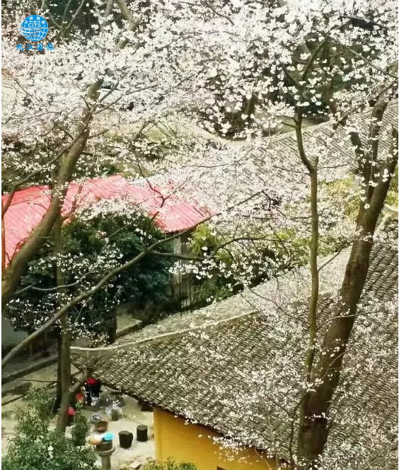 庐山方竹寺