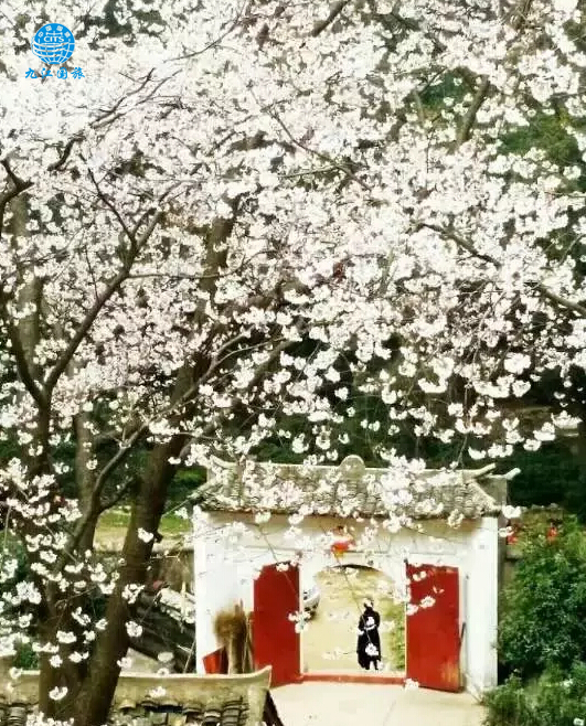 庐山方竹寺
